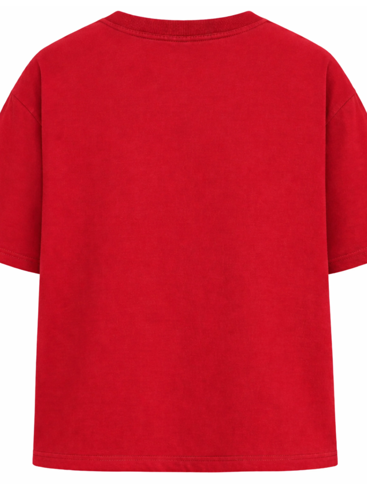 Mount Everest Oversized Red Tee - Men
